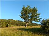 Kranjski Rak - Planina Marjanine njive